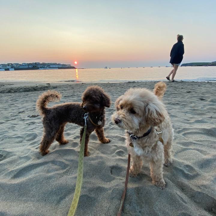 F898b171 5d85 4948 9838 08cafe5e050c 1630018848556