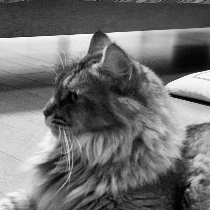 F898c7c4 3f79 4b05 9fe5 3b60f237e148 1753829730508