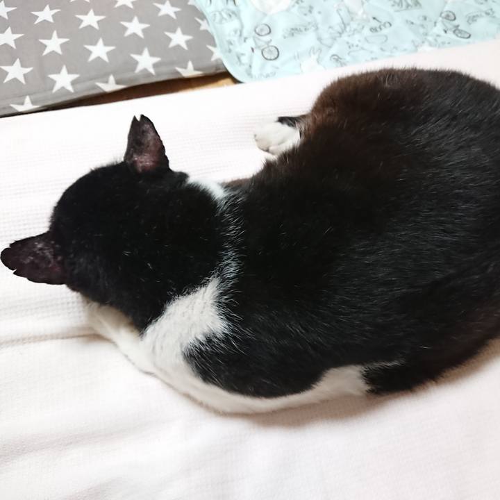 F898c850 232e 49e2 86e2 efb65b73ae0e 1567574027325