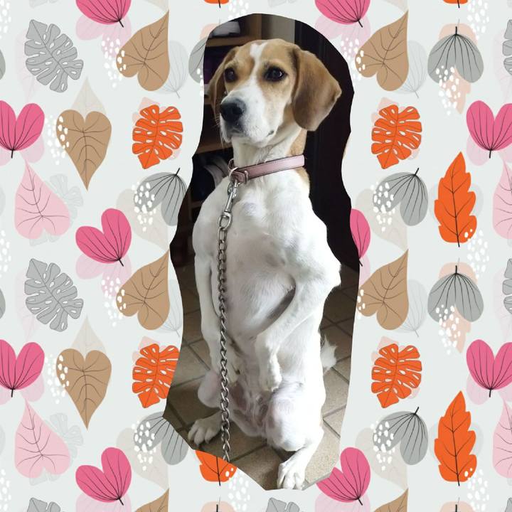 F898f608 0894 4592 aaea 209ab8d055a8 1601724676633