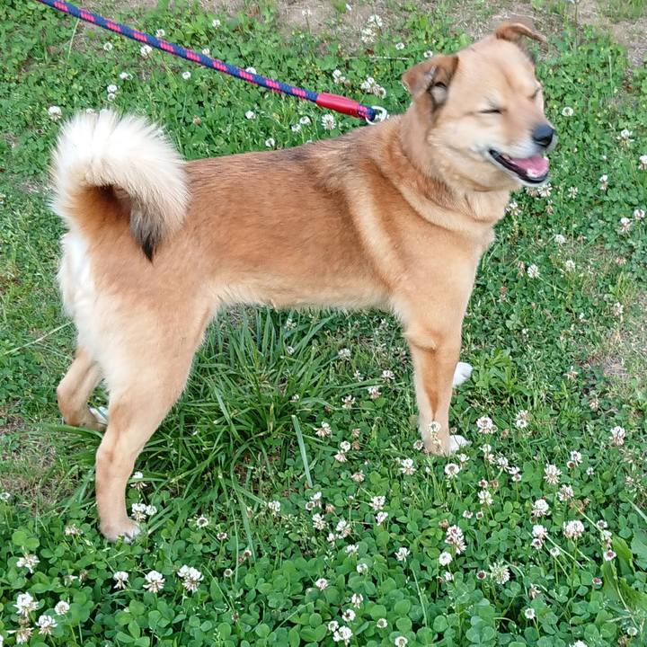 F89914a3 f779 4bae 9e96 5400ebd93f9f 1633614907942