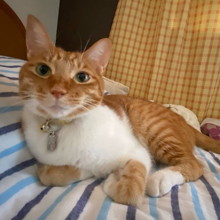 F8992aaa 5d7c 4492 9e11 8311a8f51d02 1596720920163