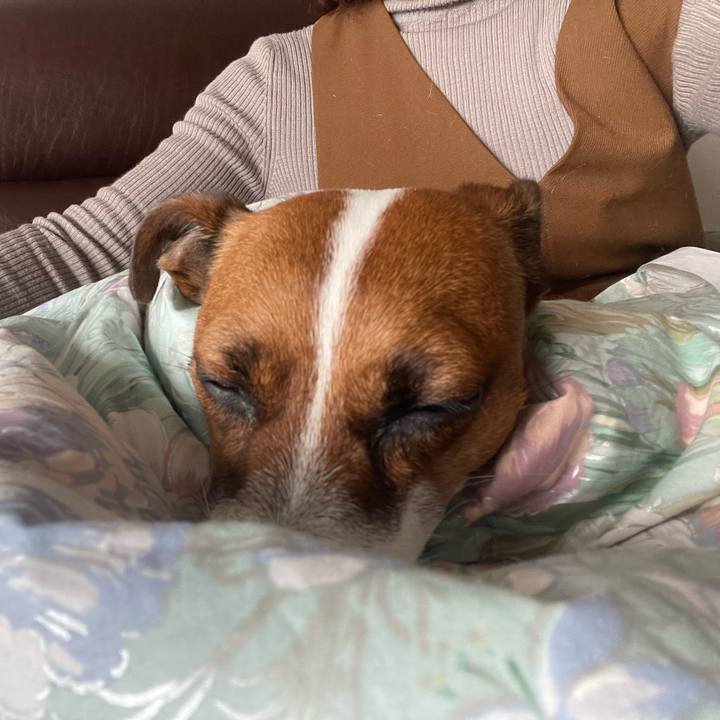 F89982c3 b014 47b2 be2e 24c4aa792f32 1643862843257