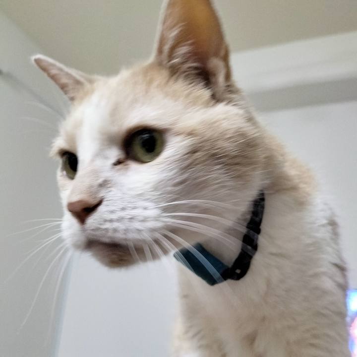 F899860c 62f9 4248 b547 f906c2af3d0f 1688042543260