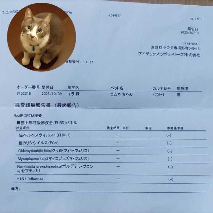 F8998b1f 4dc4 42a7 8d45 d251820f129c 1697889203436