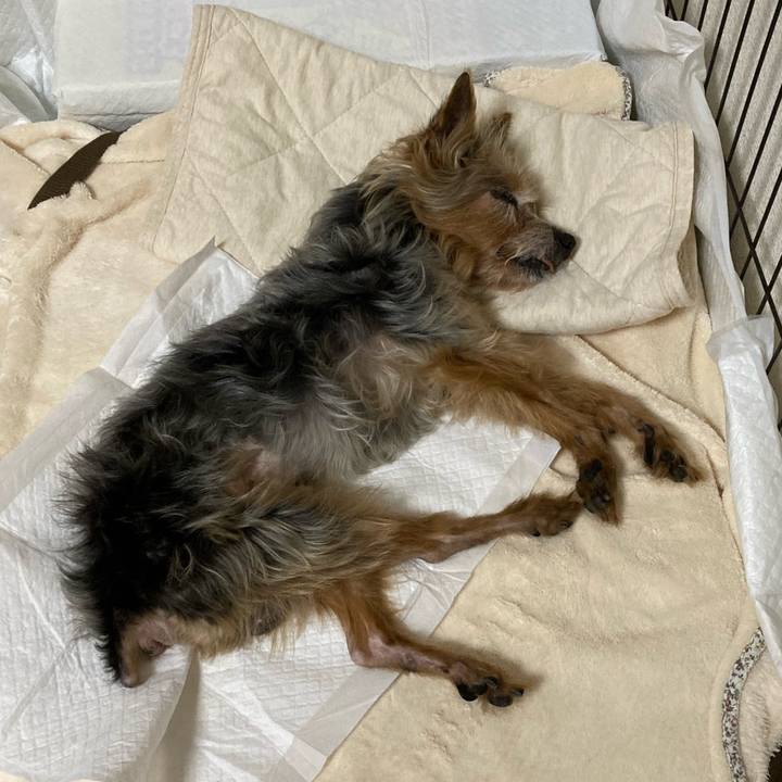 F8999779 616e 47fd a7f1 5cced68dc30e 1690031027160