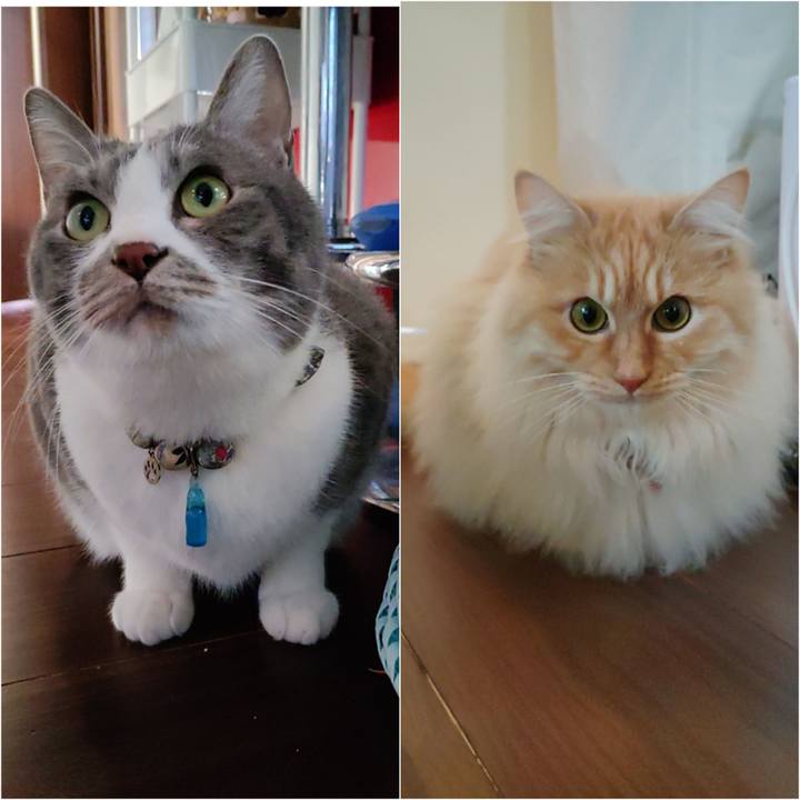 F899c96e 214f 42d5 89f0 e9f5f7a2adb0 1711492991904