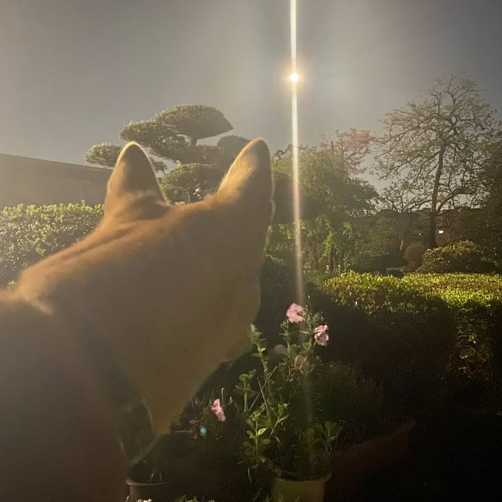 F899f786 3770 4654 afff b293f7db5e6b 1680779011664