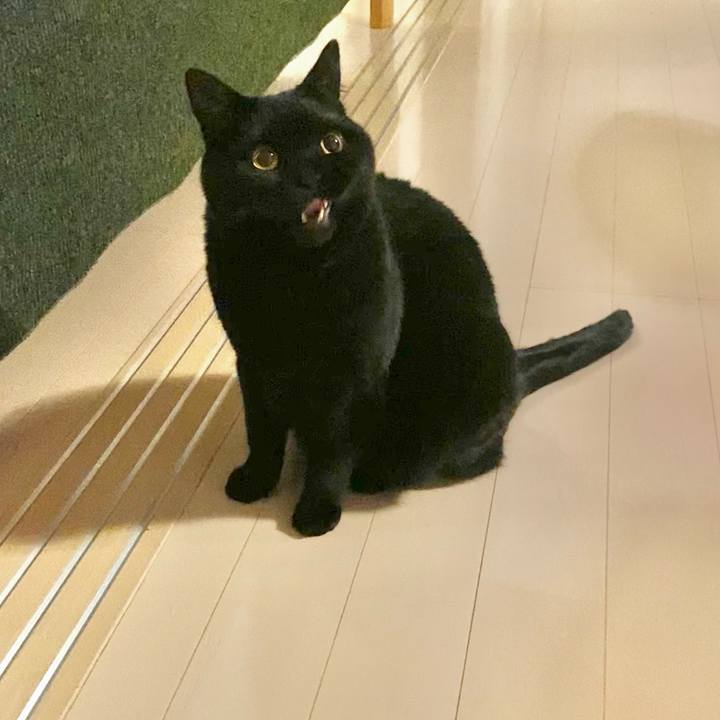 F899f88c 90ec 46e1 8b39 1774164a48e9 1649592287221