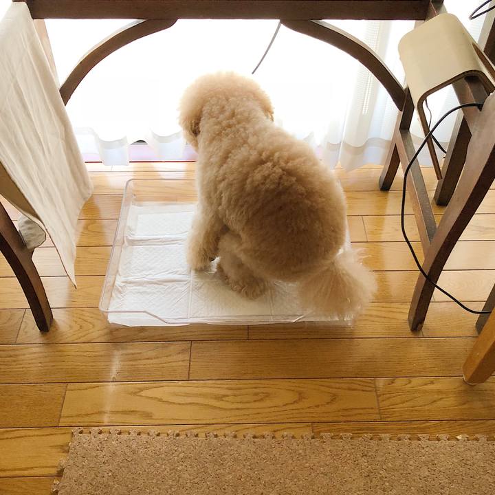 F89a63d4 6db5 4398 b69a b0a79d537aa9 1525938639552