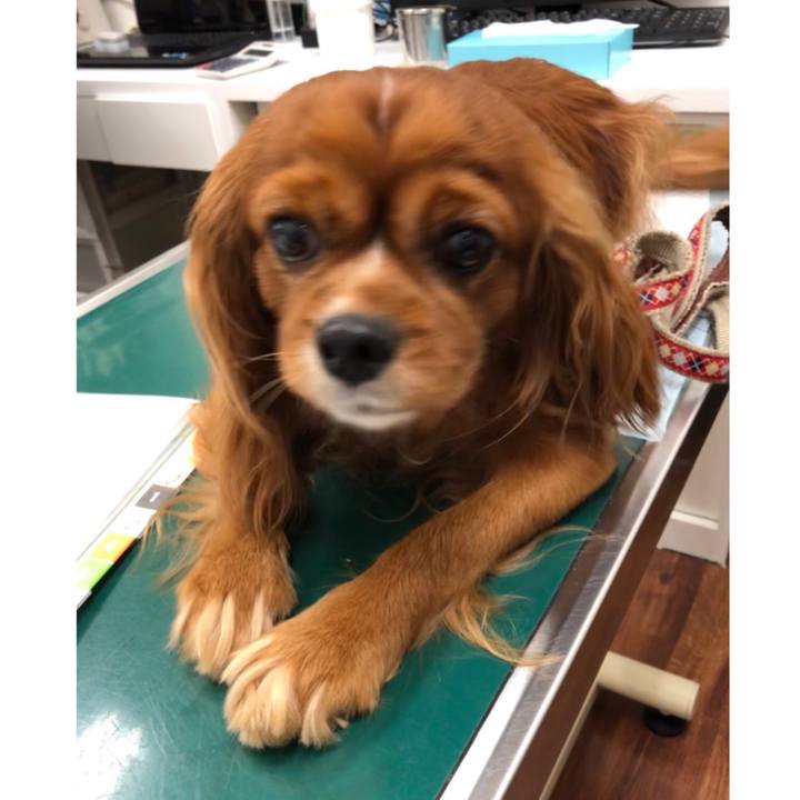 F89a6956 d208 4cea bdde 25314871eee1 1594429280789