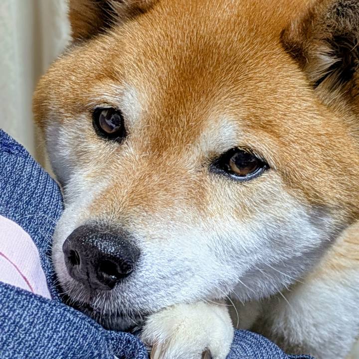 F89a87f5 09db 47f9 ab7f 5ee8953dddcd 1746198830489