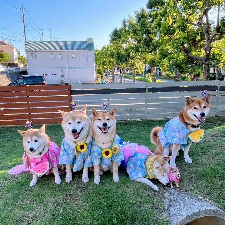 F89aa2cd b273 447e b160 9d908796cc73 1755912409977