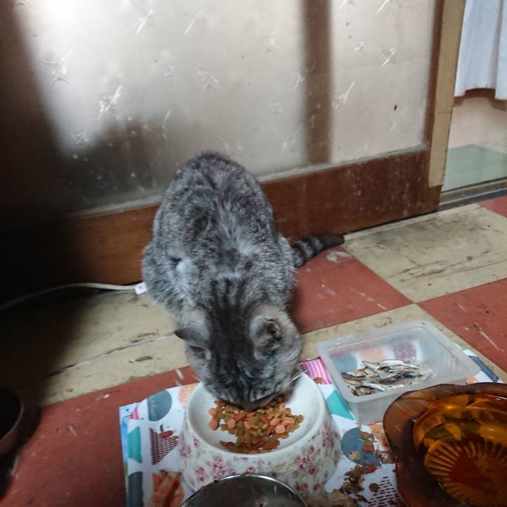 F89aa4ad 5a68 44c2 91f3 304f4d9407c4 1591392290587