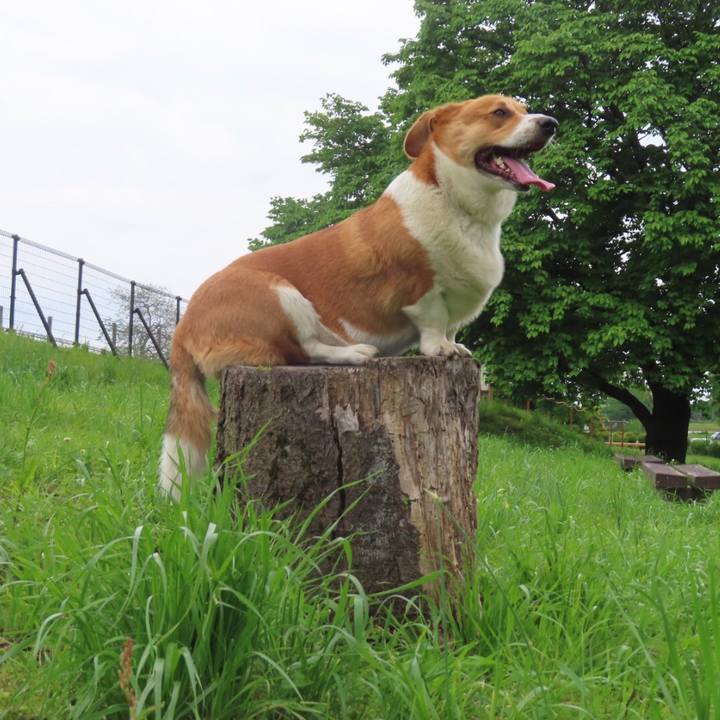 F89ab58b 0383 4c90 b90d ef9167db214f 1652138461562