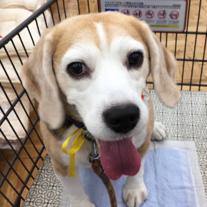 F89aba82 7b51 4a3f 8df5 7f8731a9f3cd 1574838392888