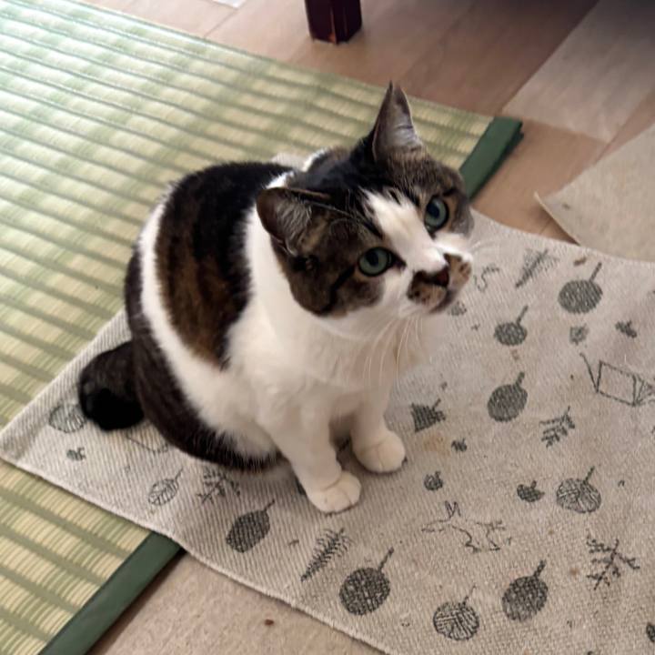 F89ac5ed 1360 4f29 bcc6 5ca0569eae9e 1774567513249