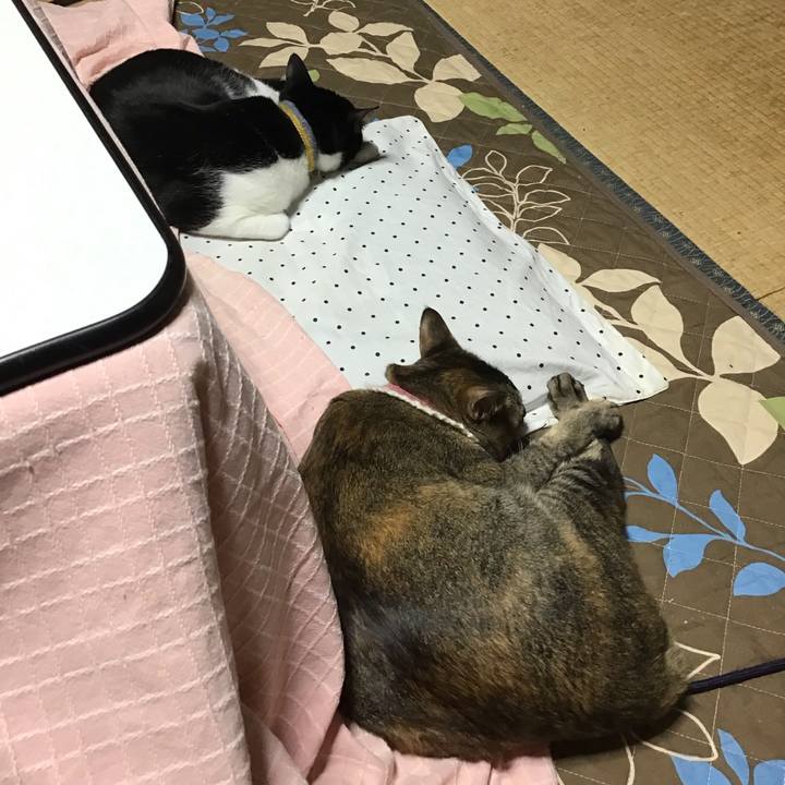 F89accce 603f 4447 bc7b b32a55b055d2 1650537092205