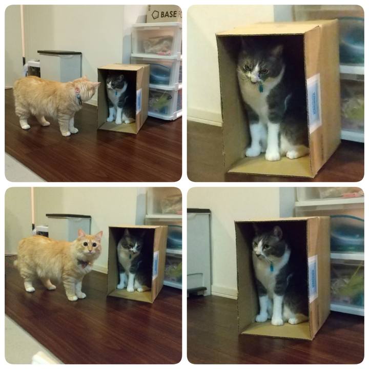 F89ad196 095e 438d 89ac 0c72b6006f34 1635429565740