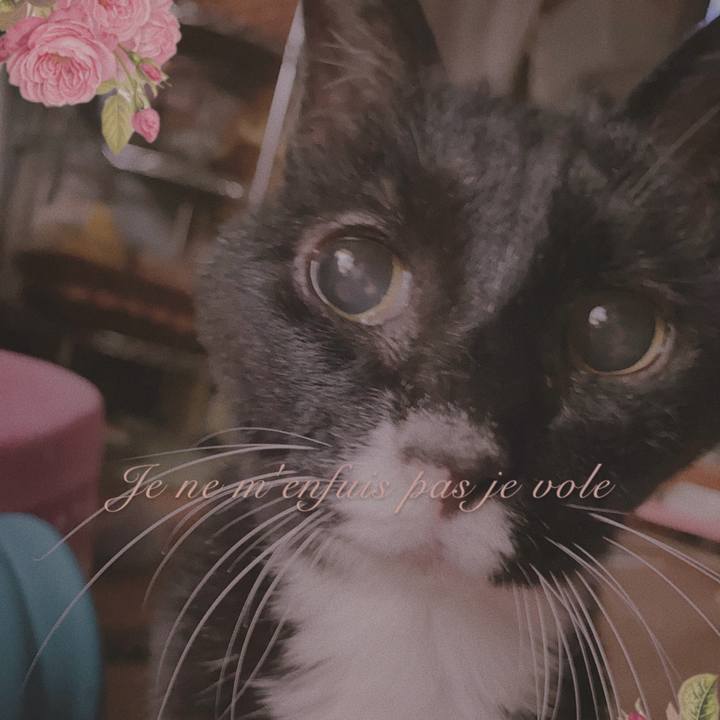 F89ad7ed 8dcd 4f93 b5a0 6a4b2ca9d9b2 1607870383696