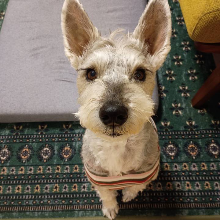 F89ae820 7b03 4ebe afd2 00a01d0ae26d 1770982986687