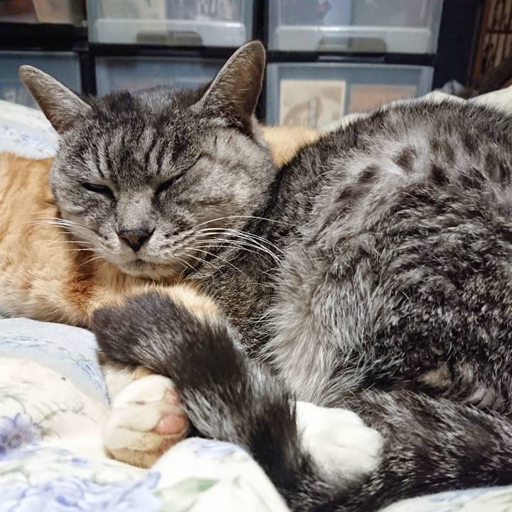 F89b6025 1b89 4ca6 b3de 1c463abdaada 1576756820475