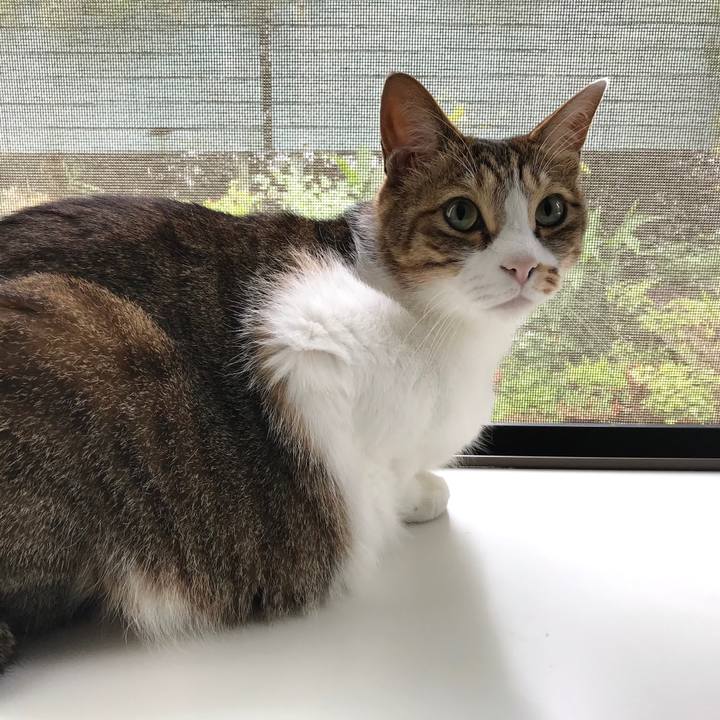 F89b77c2 f13d 4cf2 98cd 3c578e4ce0a6 1528343509690