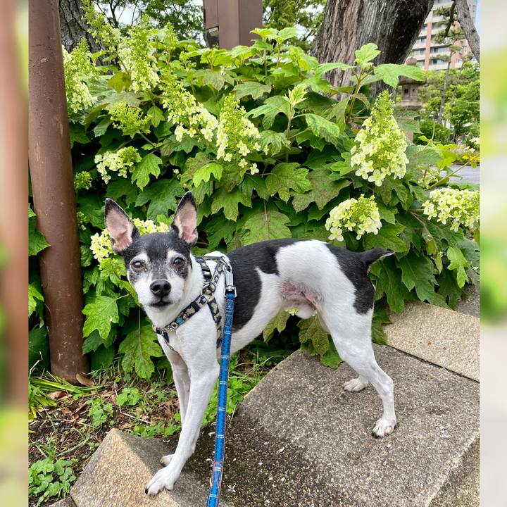 F89bd10e b0a9 4f0e 87c1 7a8a9426f4b7 1621126774287