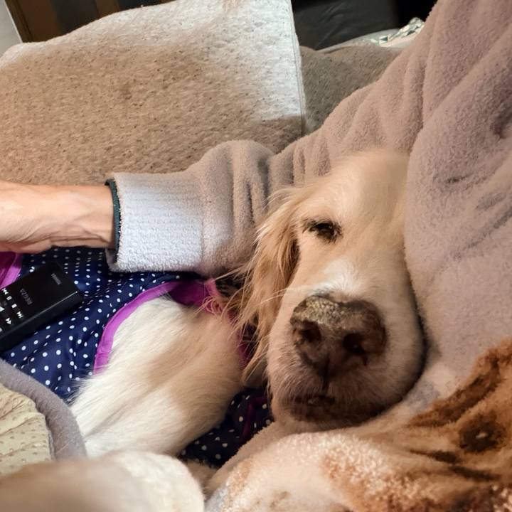 F89bd8d9 d291 47ab 9d14 ebb2406442c9 1764849215735