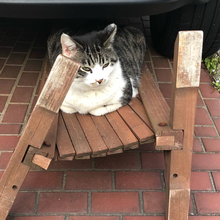 F89bde4b f20f 4199 9d59 98edeee7d132 1523509739267