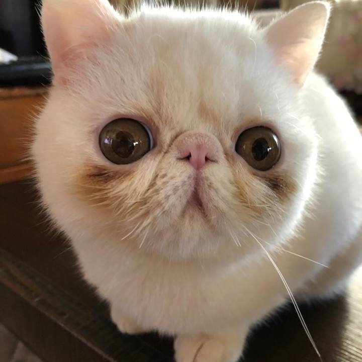 F89be5e7 1ac7 4752 b87c a5843897a776 1551278137592