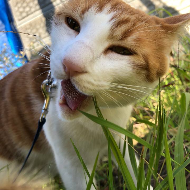 F89bf8f3 d55d 48d6 84fb 233eb69b2fba 1541133739435