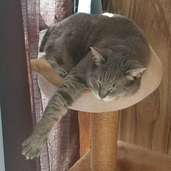 F89c074a 4881 4a41 b7ec b43a615fb8e6 1653272326039