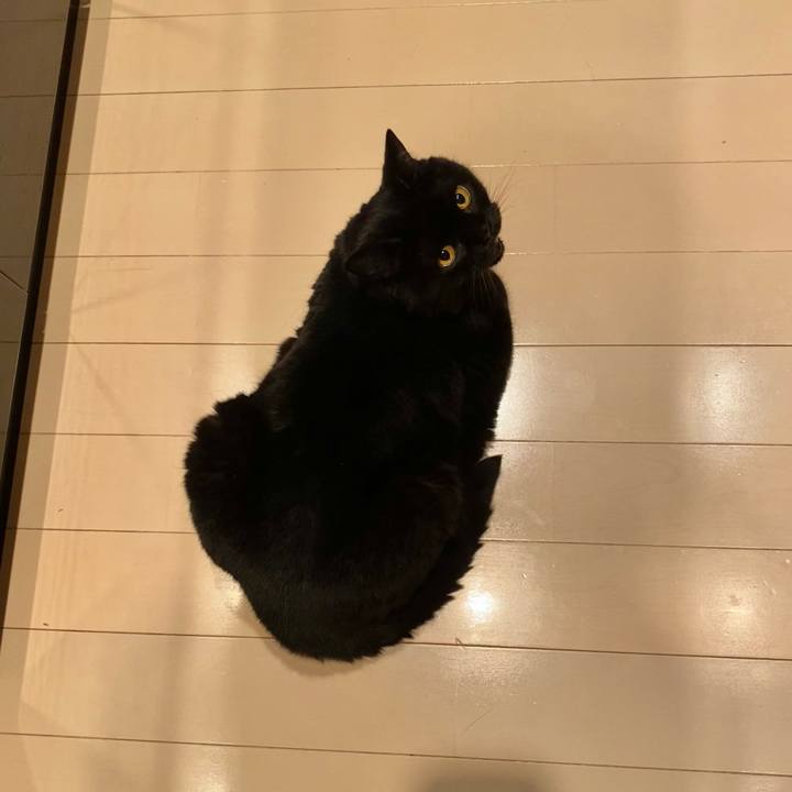 F89c378b e9a6 4027 a151 9327e4e23e4d 1719923234819