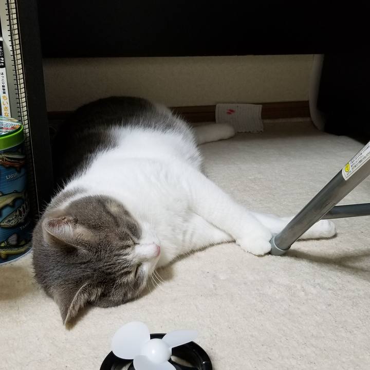 F89c50ad a333 4db5 b196 b570a77da5d8 1597145761639