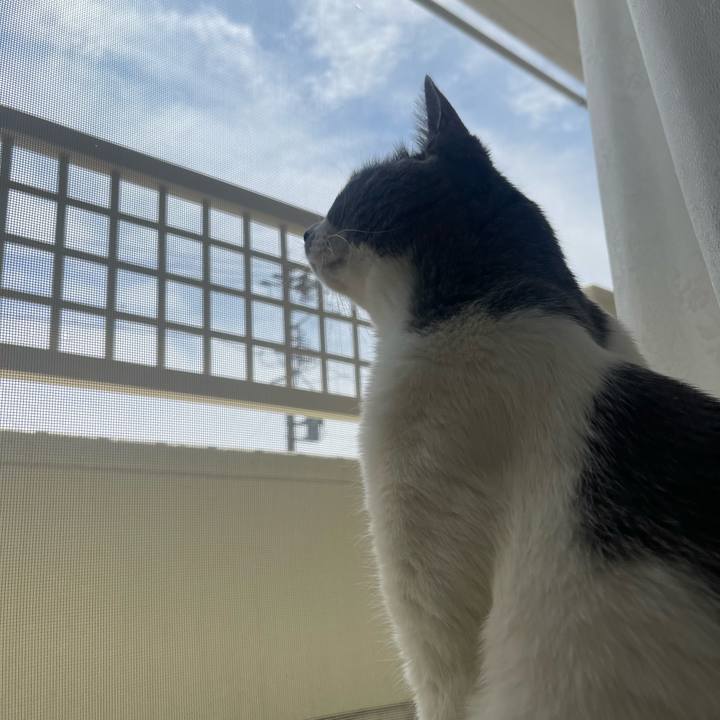 F89cb3a5 e517 4ea5 8a5e 6de974aac05d 1713583088244