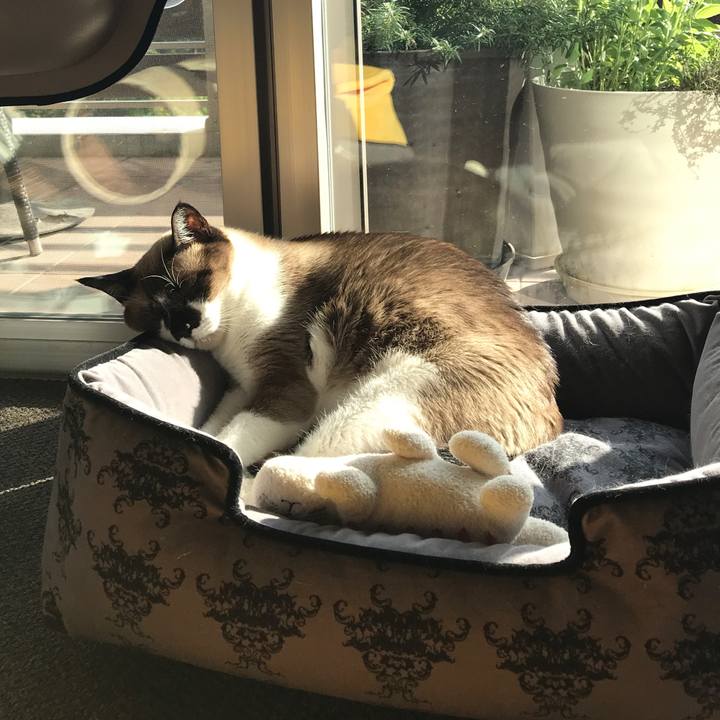 F89cd18c daf4 4e61 98d2 0f264eb931d5 1556783919037