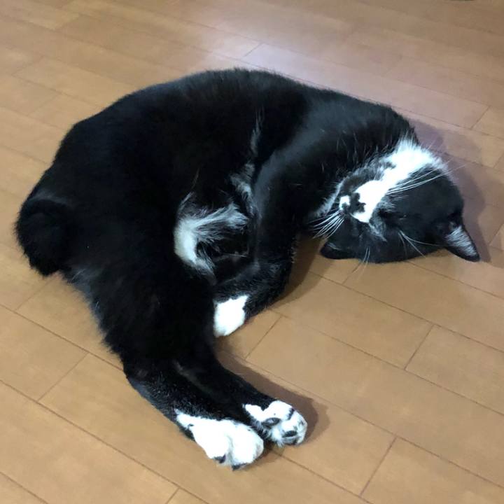 F89ce5f0 8156 4993 9318 b2e86245f8d9 1609742685024