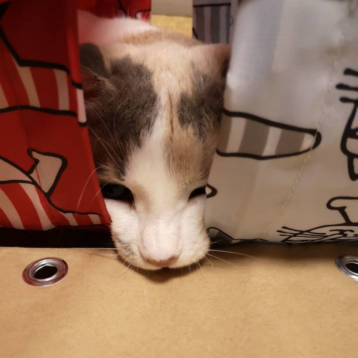 F89ced2e 2320 45c3 a83b 0af684e41c72 1566443561248