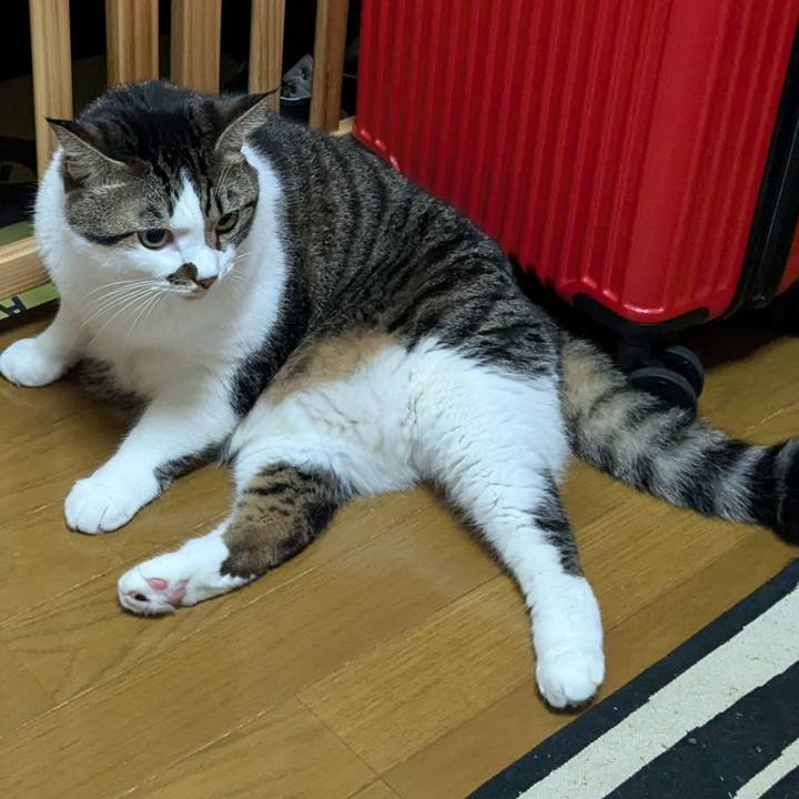 F89cf5e7 976b 4787 a3ac 75d0df923440 1728276124710