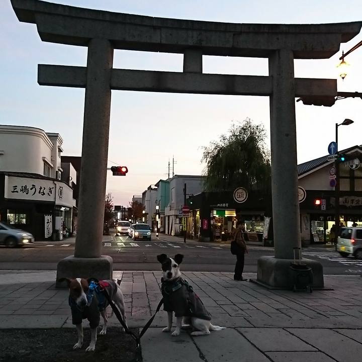 F89cf877 3a6f 4813 9df6 dce892cc1d55 1543702335162