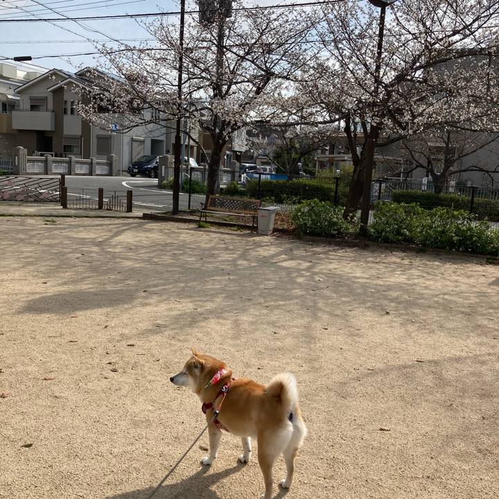 F89cfa80 53d7 4cb1 ad57 7b1899d10b31 1616411692784