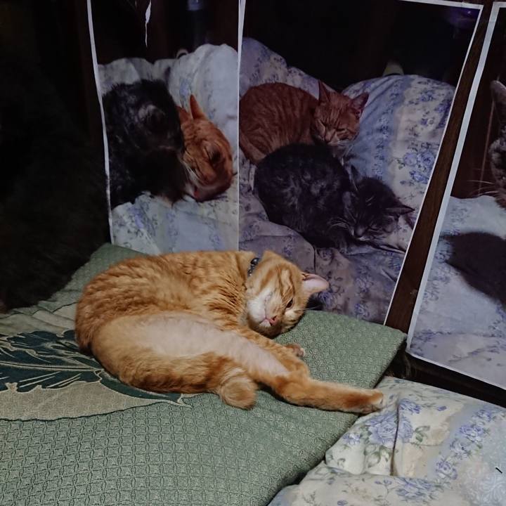 F89d0774 0fc7 4c89 be44 058ec8036ce8 1656592062402