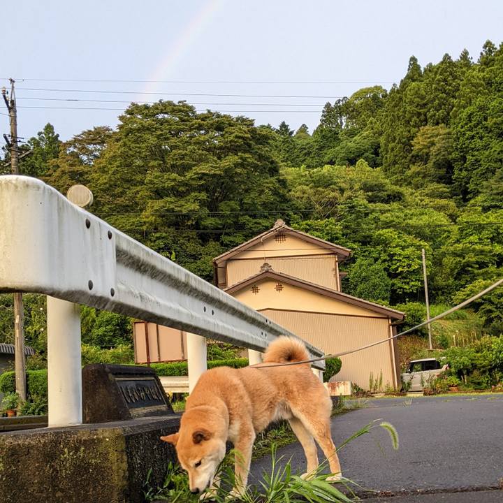 F89d1a5d a89a 4605 895b 14b298ada3ad 1655547295920