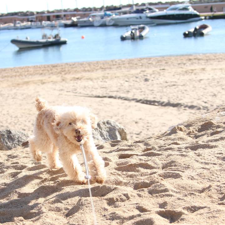 F89d329c e9ba 417d 901f 6e820fe38d70 1517395996049