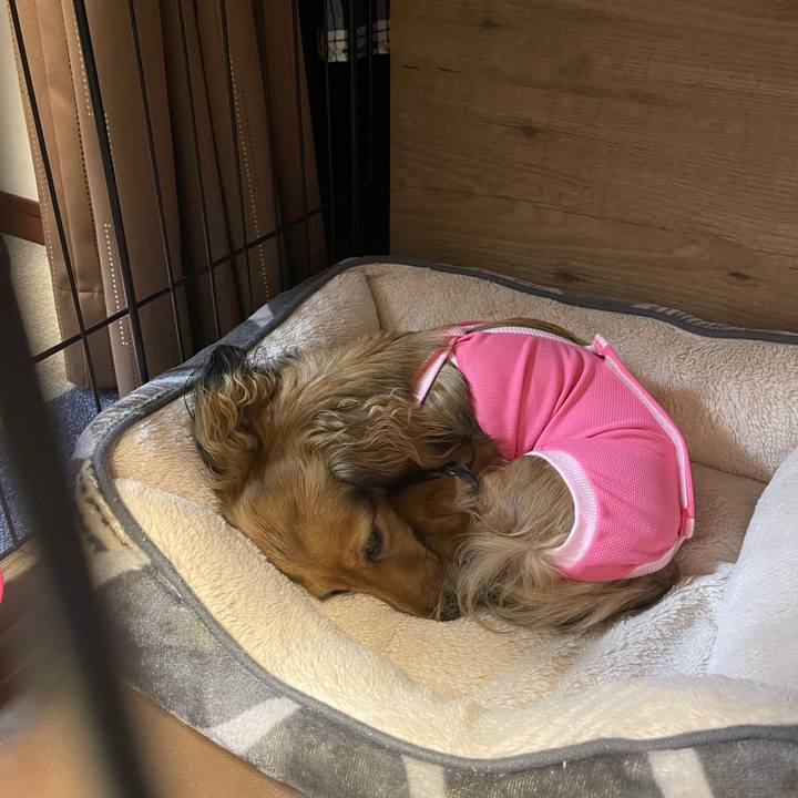 F89d52b6 6a21 4277 8bed 91b664293816 1633870703380