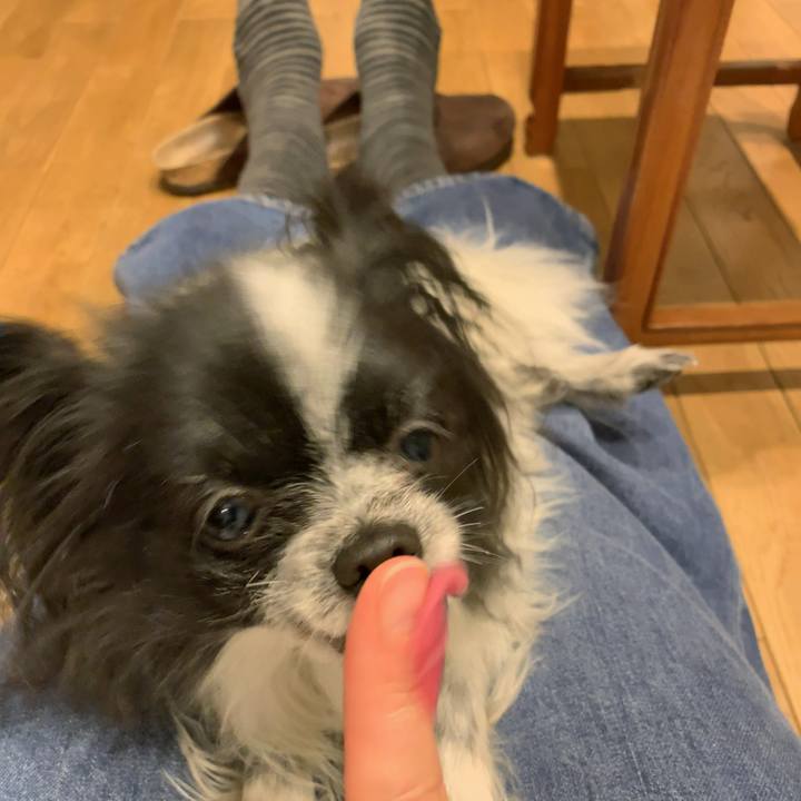 F89d55c4 19e5 4c45 b3b2 4dfdffddc7b1 1550755715430