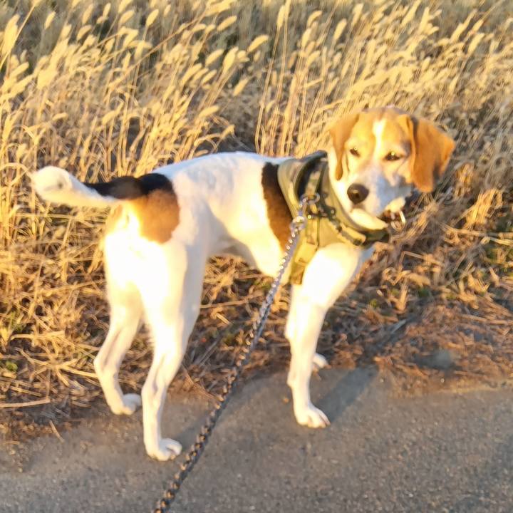 F89d641e 1397 4934 9035 c373f27d5114 1736064717343