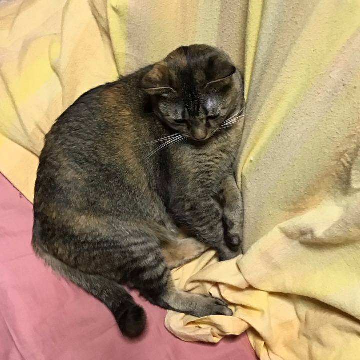 F89d7aad 84c9 461a ba2c ecfb4a1025fd 1675001412137