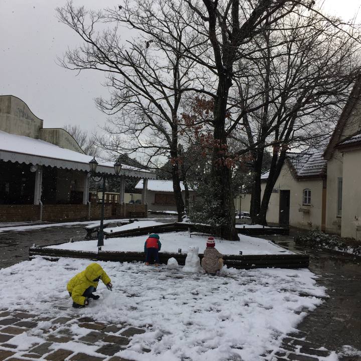 F89daa6a 3e28 4cbd bff7 c4d0f3c152e6 1514956798946